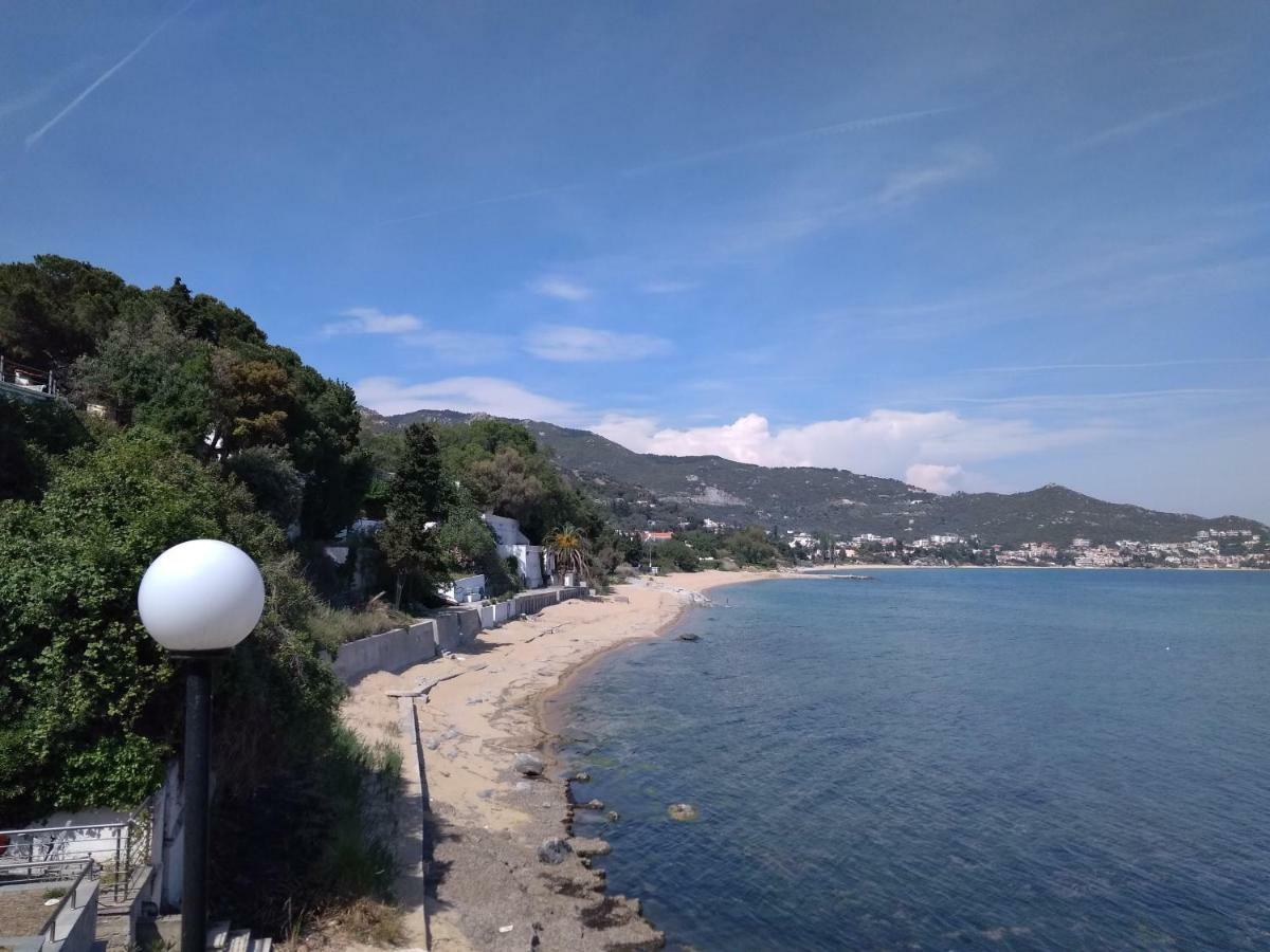 Evaliana Seaside Apartment PalaiónTsiflíkion 외부 사진
